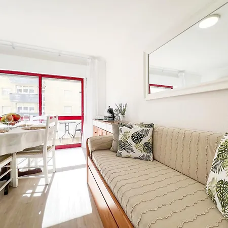 Rocha Candimar Salvia