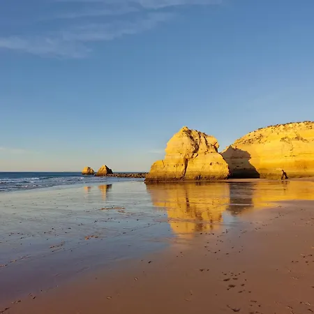 Rocha Candimar Salvia Portimao