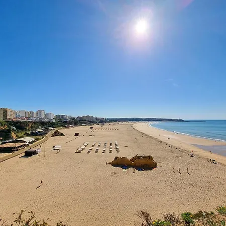 Rocha Candimar Salvia Portimao