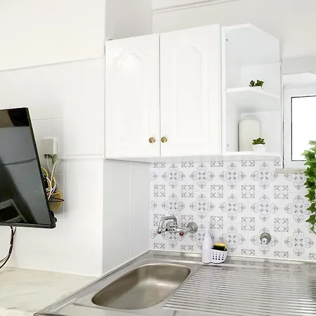 Rocha Candimar Salvia * ポルティマン