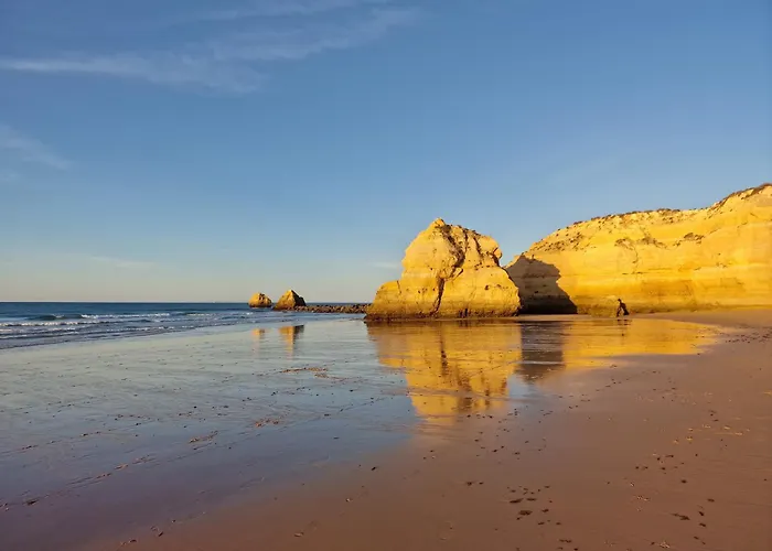 Rocha Candimar Salvia Portimao