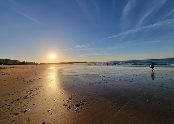 Rocha Candimar Salvia