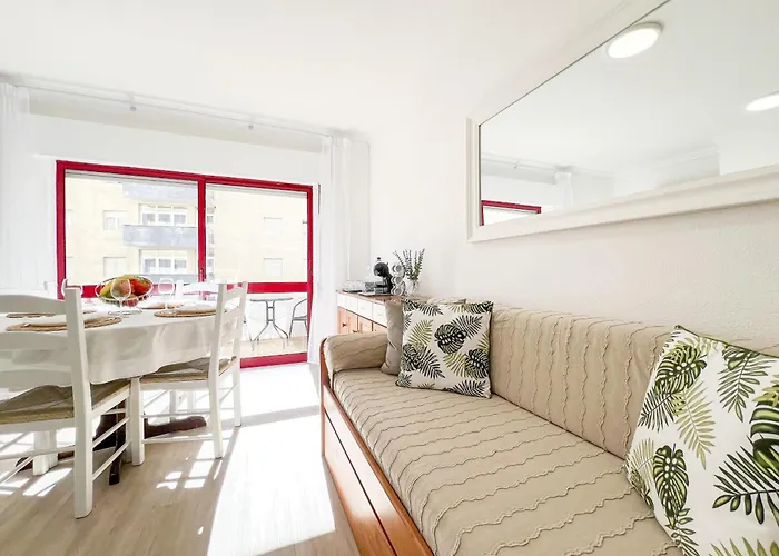 Rocha Candimar Salvia